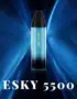 Wholesale Grativape Esky 5500 Puffs – Best Prices in Europe